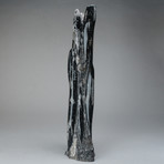 Polished Orthoceras Fossil Statue v.2