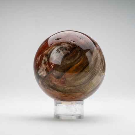 Polished Petrified Wood Sphere + Acrylic Display Ring