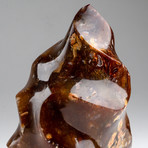 Polished Petrified Wood Flame Freeform