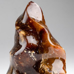 Polished Petrified Wood Flame Freeform