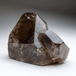 Smoky Quartz Point Cluster