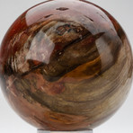 Polished Petrified Wood Sphere + Acrylic Display Ring