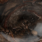 Petrified Wood Bowl