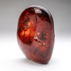 Polished Carnelian Freeform