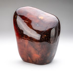 Polished Carnelian Freeform