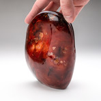 Polished Carnelian Freeform