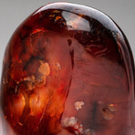 Polished Carnelian Freeform