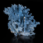 Natural Blue Ridge Coral