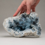 Blue Celestite Geode Cluster