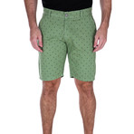 Boat Shorts // Green (30)