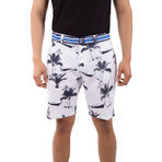 Palm Beach Shorts // White (40)