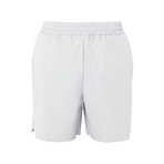 Shorts // Ice Gray (M)