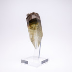 Kleat // Mexican Chocolate Calcite + Boiled Glass Fusion Sculpture