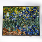 Van Gogh // Irises
