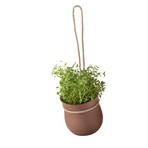 GROW-IT Herb Pot (Gray)