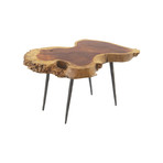 Pradoo Burled Wood Coffee Table v.2
