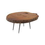 Burled Wood Coffee Table v.2
