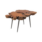 Pradoo Burled Wood Side Table