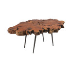 Burled Wood Side Table v.3