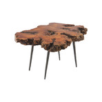 Pradoo Burled Wood Coffee Table v.1