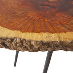 Burled Wood Coffee Table v.1