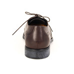 Tod's // Wing Tip Dress Shoes V1 // Brown (US: 5)