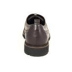 Tod's // Wing Tip Dress Shoes V2 // Brown (US: 9)