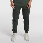Latoo Jogger // Deep Forest (M)