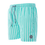 Swim Shorts // Mint (L)