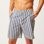 The Boardshort // Blue + Cream Stripe (XL)