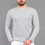 Neil Tricot Sweater // Light Gray (M)