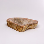 Natural Edge Petrified Wood Bowl