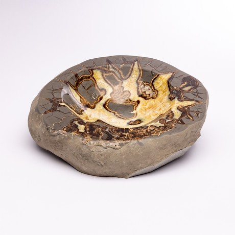 Septarian bowl from Utah // Ver. 2