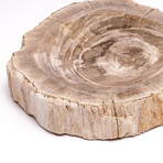 Natural Edge Petrified Wood Bowl