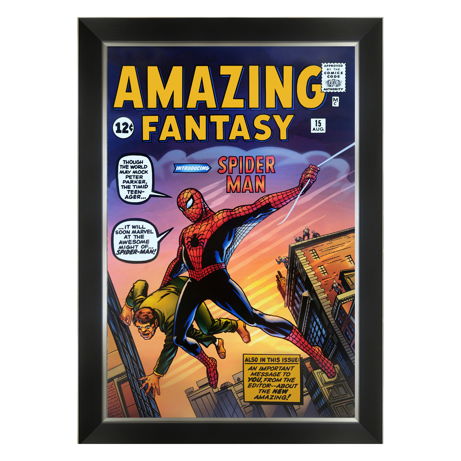 First Appearance of Spider Man // Framed Canvas Art Print - Autograph ...