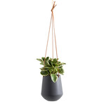 Ashbury // Leather Hanging Ceramic Drop Pot Planter (Gray)