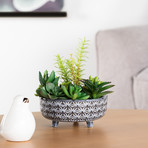 Star Glazed // Ceramic Footed Succulent Pot (White)