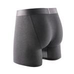 Technical Silver + Odor Resistant Boxer Briefs // Gunmetal Gray // 2 Pack (M)
