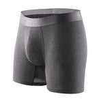 Technical Silver + Odor Resistant Boxer Briefs // Gunmetal Gray // 2 Pack (S)