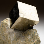 Natural Pyrite on Basalt Matrix