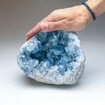 Genuine Blue Celestite Geode v.1