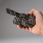 Genuine Sikhote-Alin Meteorite