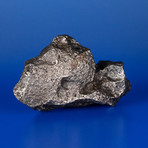 Genuine Campo Del Cielo Meteorite