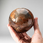 Genuine Polished Petrified Wood Sphere + Acrylic Display Stand