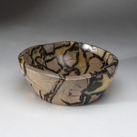 Genuine Polished Septarian Dish