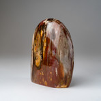 Genuine Polished Petrified Wood Freeform v.1