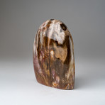 Genuine Polished Petrified Wood Freeform v.1