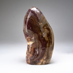 Genuine Polished Petrified Wood Freeform v.2