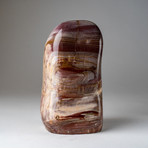 Genuine Polished Petrified Wood Freeform v.2