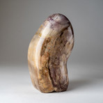 Genuine Polished Petrified Wood Freeform v.2